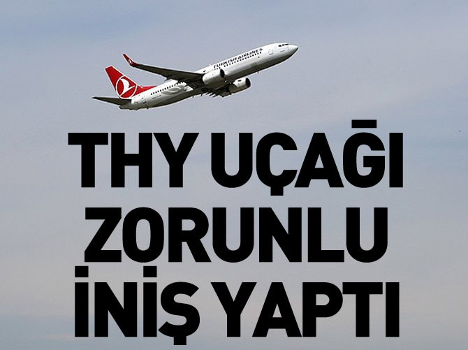 THY uçağı zorunlu iniş yaptı