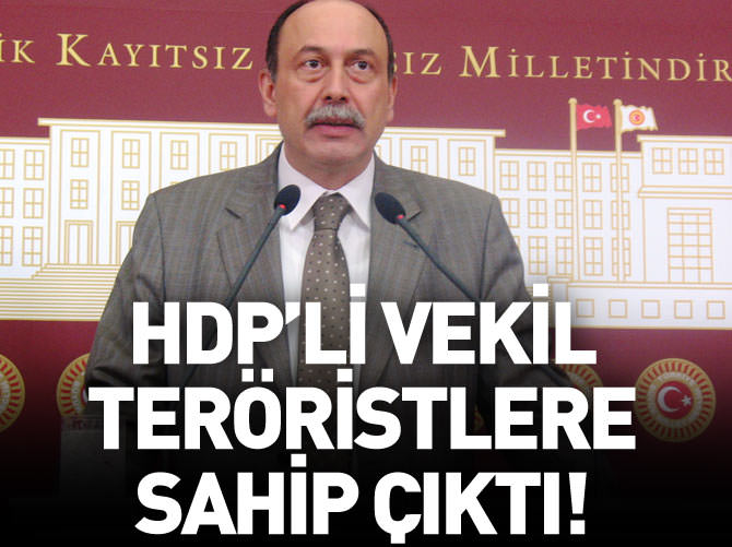 HDP'li vekil de teröristlere sahip çıktı
