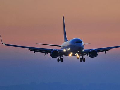 Yolcu hostesi yumrukladı uçak zorunlu iniş yaptı