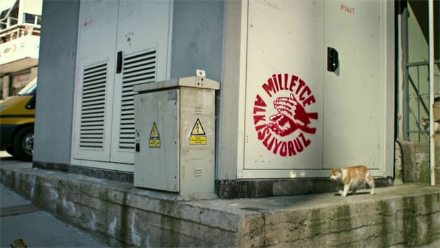 CHP'ye 'kedi' cevabı - 1