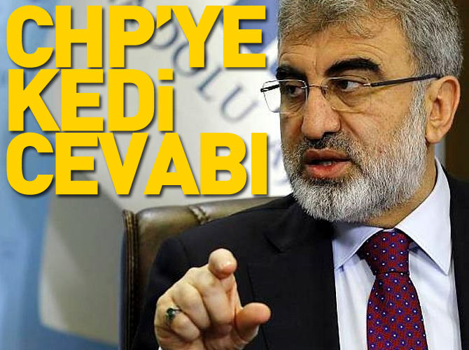 CHP'ye 'kedi' cevabı