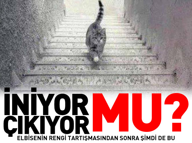 Kedi iniyor mu? Çıkıyor mu?