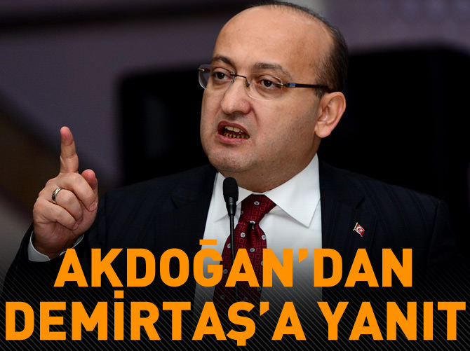 Başbakan Yardımcısı Akdoğan'dan Demirtaş'a yanıt
