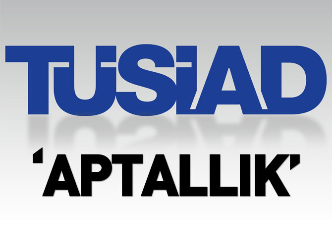 TÜSİAD ve aptallık!