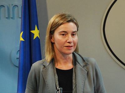 'İslam dünyası da terörizmin kurbanı oldu'