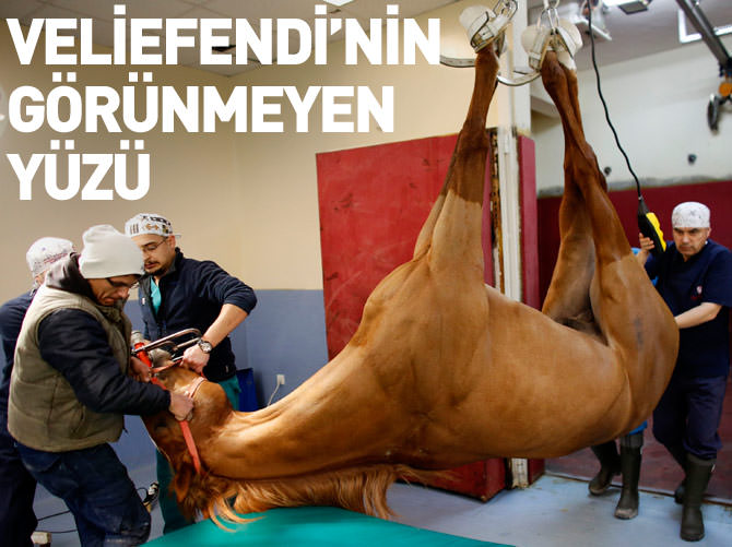 Veliefendi'nin görünmeyen yüzü