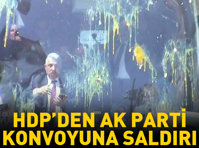 Van'da adaylara taşlı ve yumurtalı saldırı