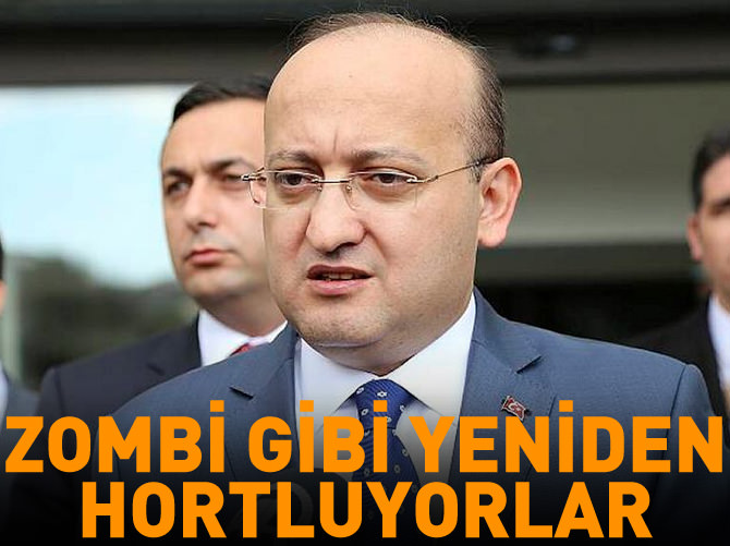 Başbakan Yardımcısı Akdoğan: Zombi gibi yeniden hortluyorlar