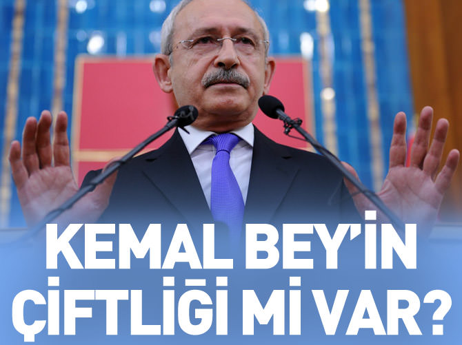 Kemal Bey'in çiftliği mi var?