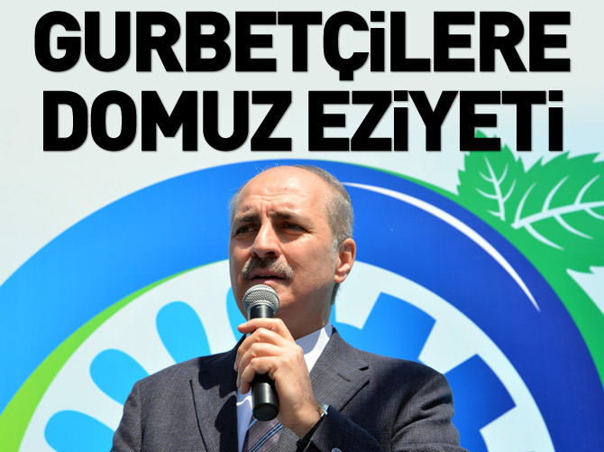 Gurbetçilere domuz eziyeti