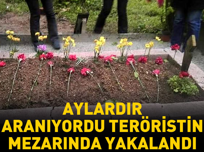 Teröristin mezarını ziyaret ederken yakalandı!