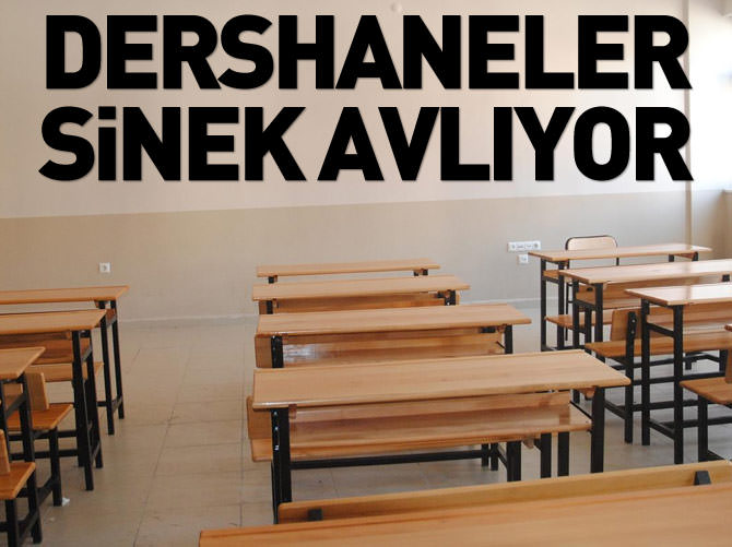 Dershaneler sinek avlıyor