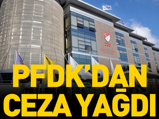 PFDK'dan 2 kulübe tribün kapatma cezası