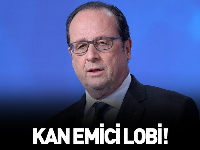 Kan lobisi