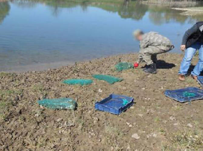 İzinsiz kurbağa avına ceza yağdı