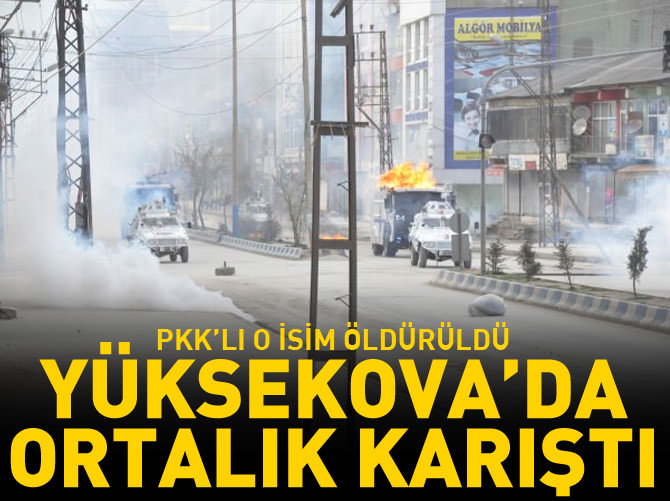 PKK'nın önemli ismi öldü, Yüksekova karıştı