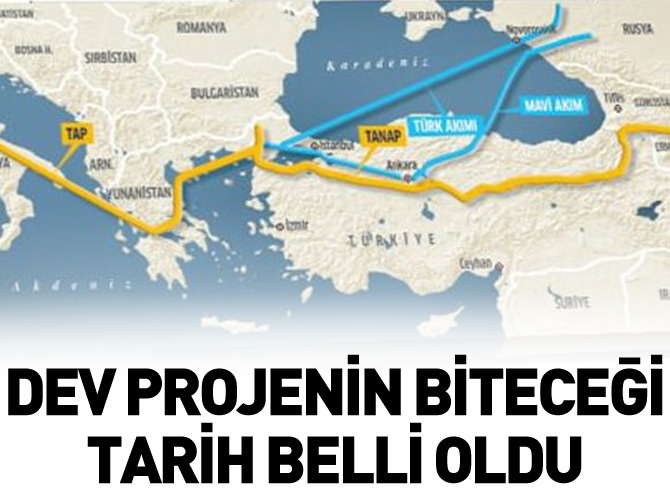"Türk Akımı" 2020'de tamamlanacak