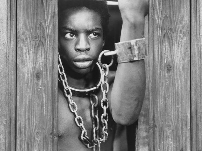 Kunta Kinte dönüyor
