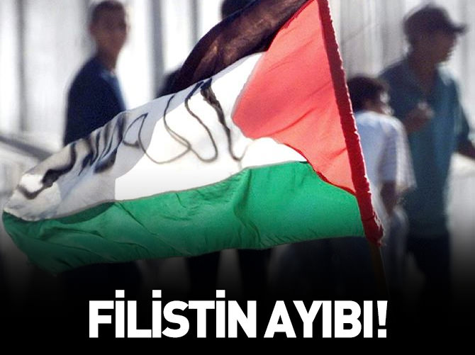 Filistin ayıbı