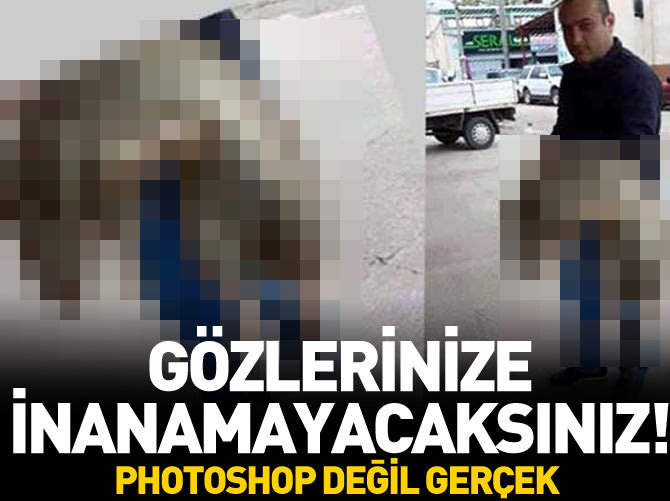 Dev fareler esnafı bıktırdı