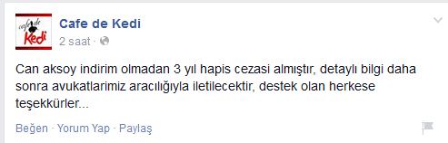 Eskişehir'deki kedi davasında Can Aksoy'a 3 yıl hapis - 1