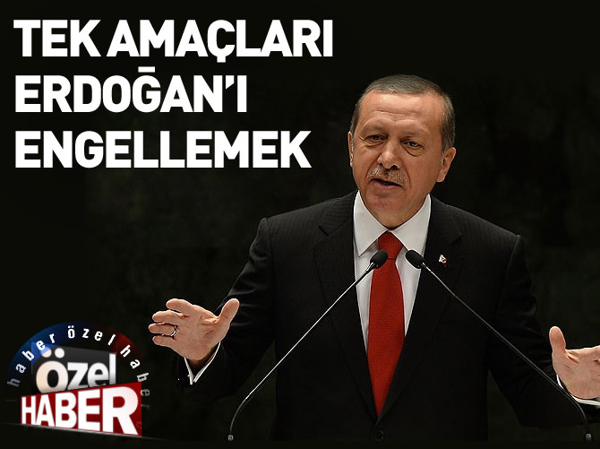 Koalisyonun tek amacı Erdoğan'ı engellemek