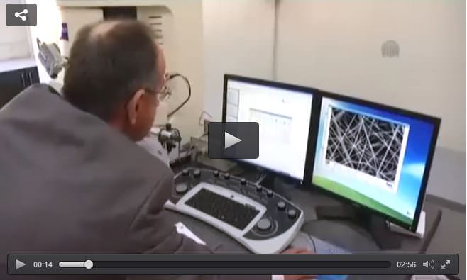 Bilim camiasından Erdoğan’a destek