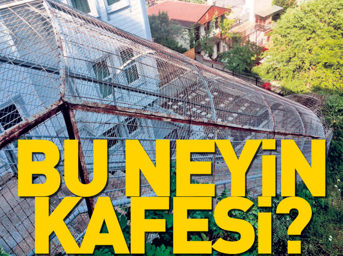 Bu neyin kafesi!