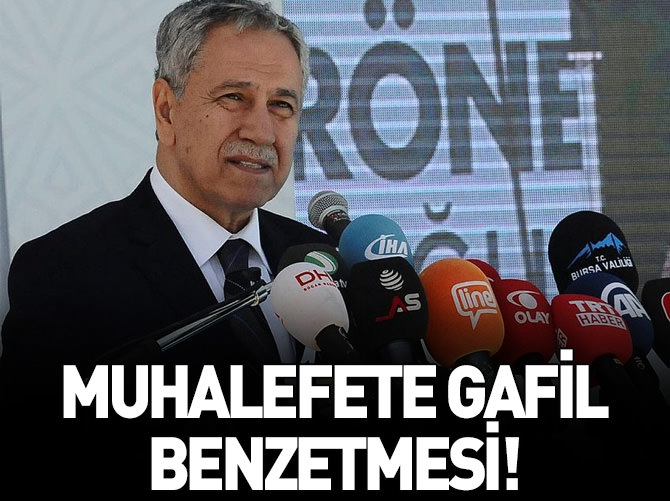 "Projeler peşinde koşan gafiller var''