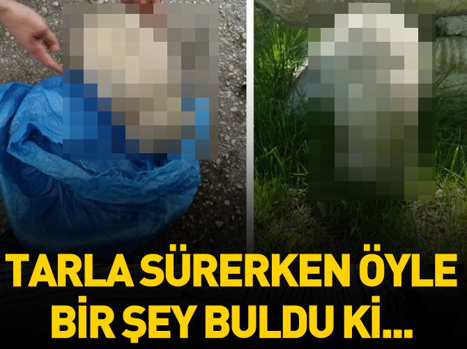 Tarlayı sürerken öyle bir şey buldu ki...