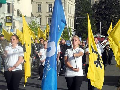 İsveç'te göçmen ve İslam karşıtı siyasi parti feshedildi