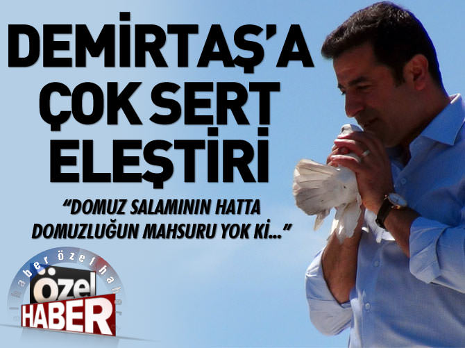 Mehmet Metiner: HDP için domuzluğun mahsuru yok ki!