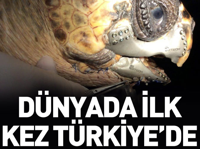 Caretta carettaya "3D çene protezi" takıldı