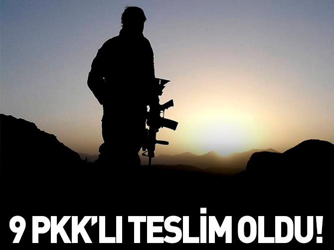 Şırnak'ta 9 PKK'lı teslim oldu