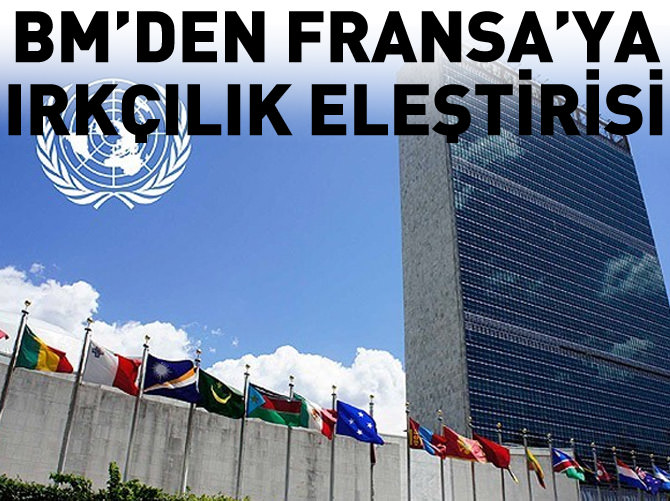 BM'den Fransa'ya ırkçılık eleştirisi