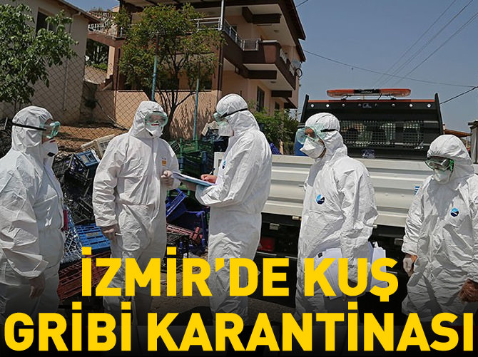 İzmir'de 700 tavuk itlaf edilecek