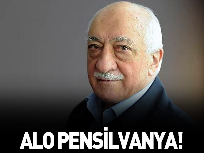 Alo Hoca