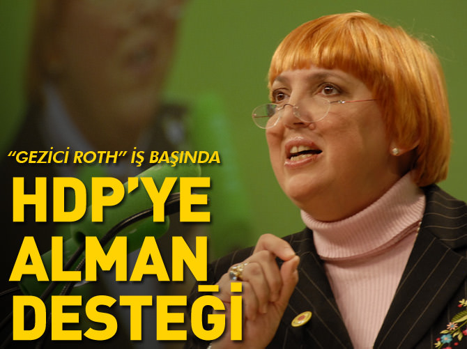 Gezici Alman vekil HDP'ye destek çağrısı yaptı