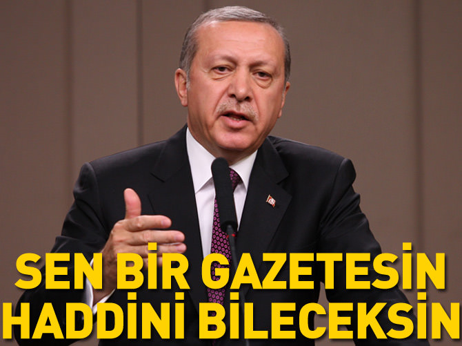 'Sen bir gazetesin haddini bileceksin'