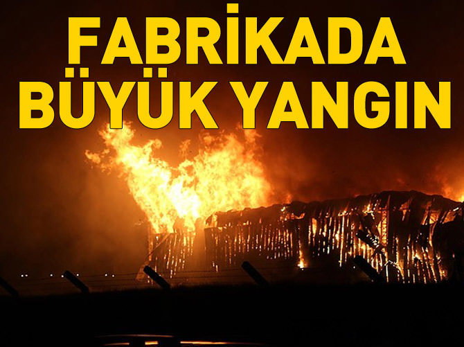 Eskişehir Organize Sanayi Bölgesi'nde yangın