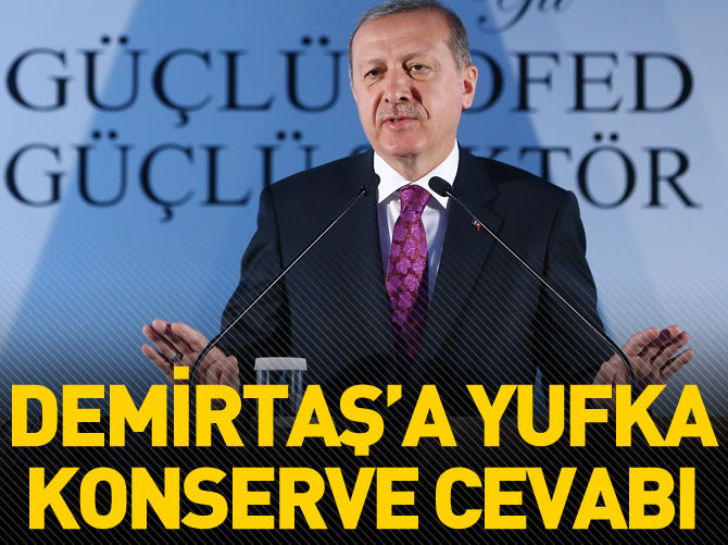 Cumhurbaşkanı Erdoğan: Milletin çağırdığı her yere giderim