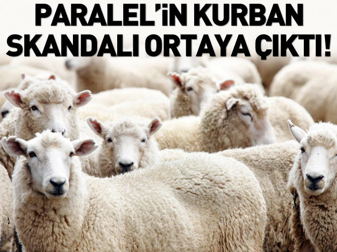 Et ihalelerini düşük fiyat verip kazandılar!