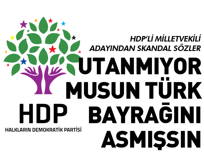 HDP'li milletvekili adayından skandal sözler