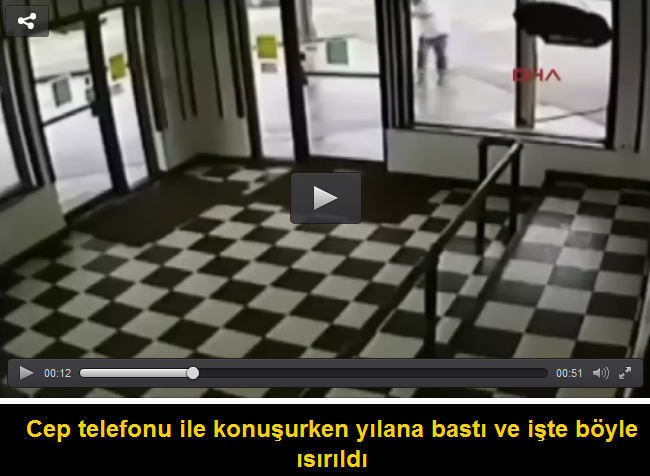 Cep telefonu ile konuşurken yılana bastı ve işte böyle ısırıldı