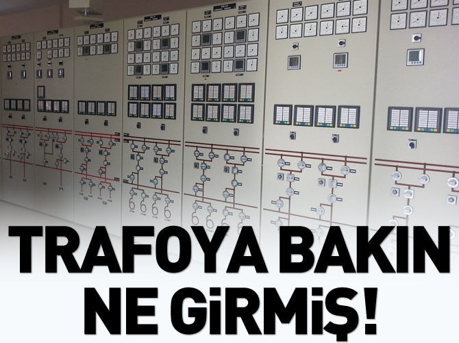 Trafoda kedi değil hacker var!