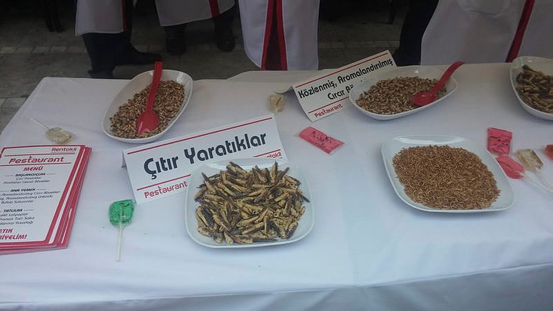 Kadıköy'de "böcek" ikram ettiler - 3