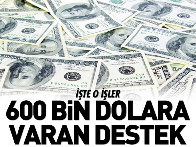 Bu işleri yapanlara 600 bin dolara varan destek