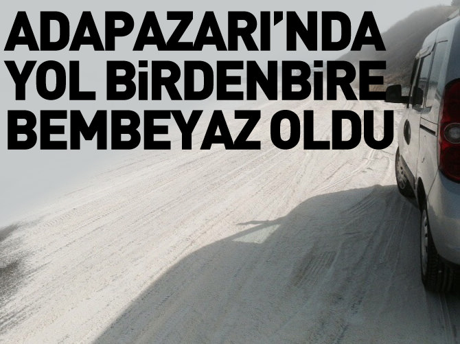 Un yüklü TIR devrildi, karayolu beyaza büründü