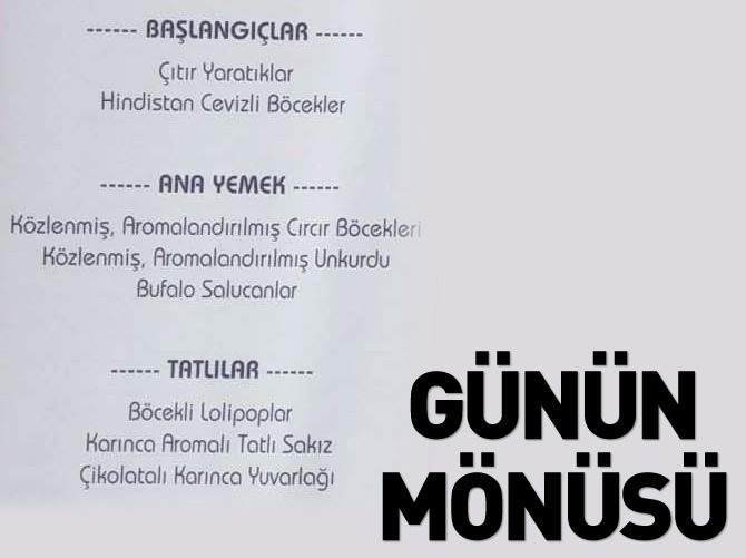 Kadıköy'de "böcek" ikram ettiler