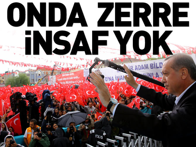 Erdoğan: Onda ciğer, zerre kadar insaf yok